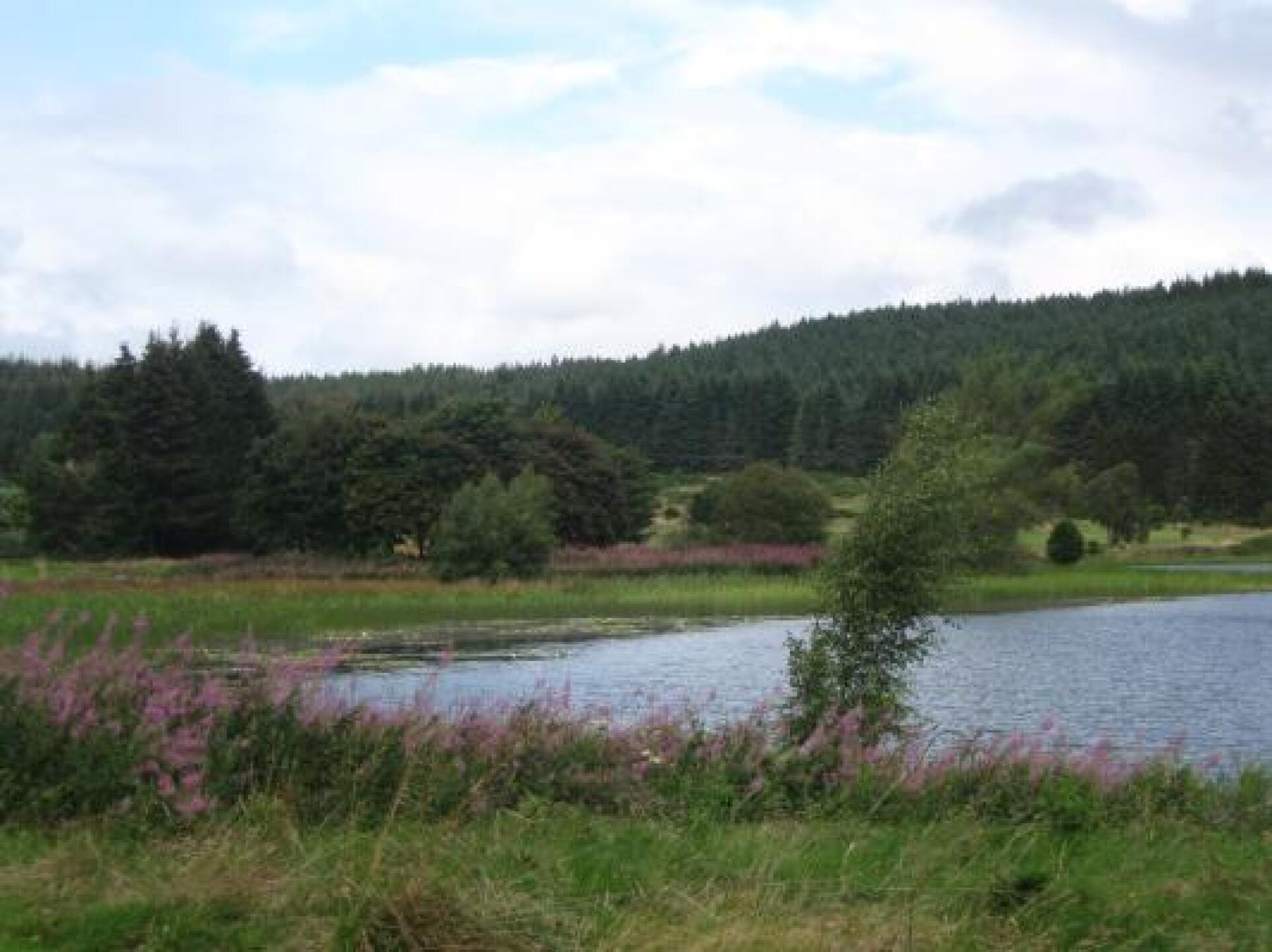 (Photo submitted by kathryn2 on 08/19/2014)