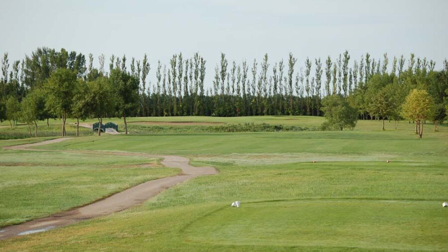 Winkler GC: #4