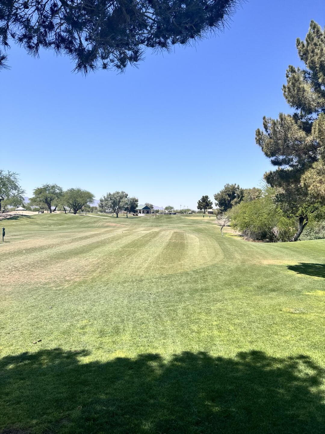 Just a great day to play 9 (Photo submitted by L53W1t6dSk4OQoOaLQOf on 05/17/2026)