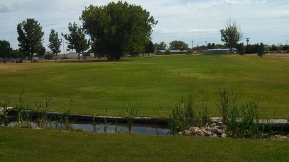 Wheatland GC: #8