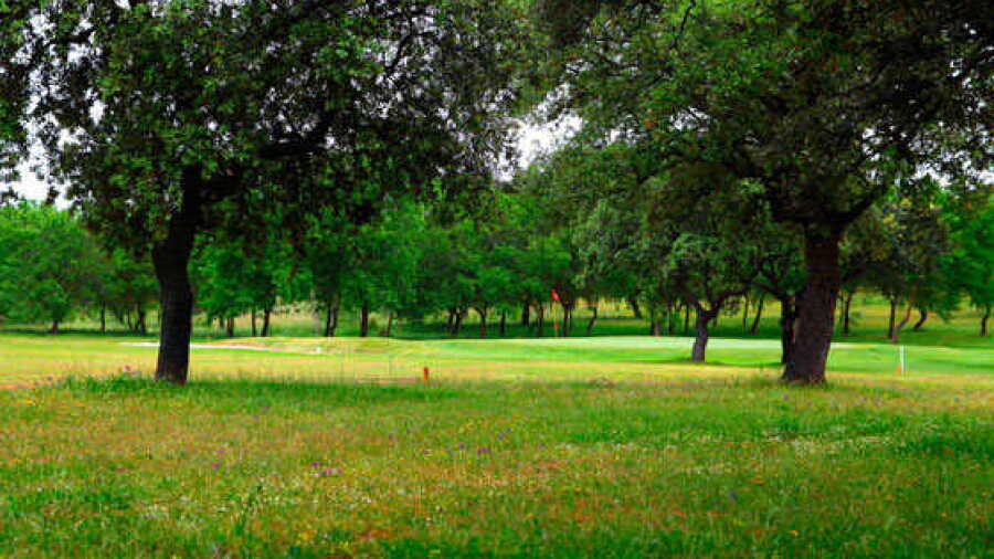 Pozoblanco GC