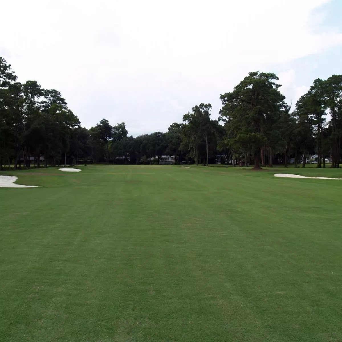 Live Oak/Magnolia at Bacon Park Golf Course in Savannah, USA