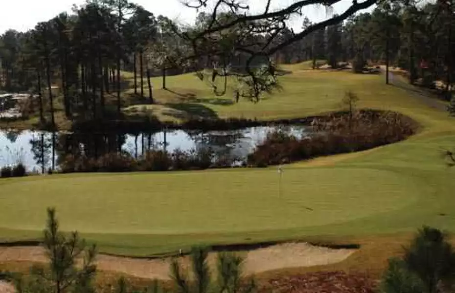 Forest Creek GC - South: #9