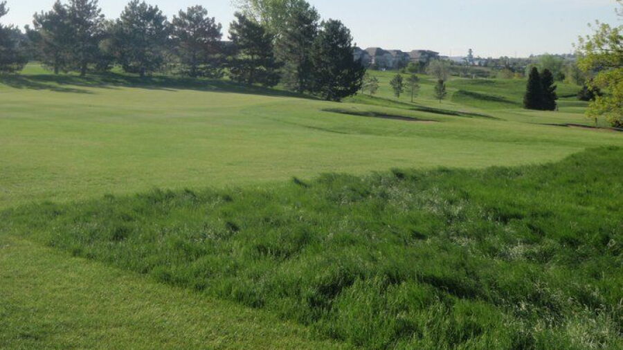 South Suburban GC - Eighteen Hole: #17