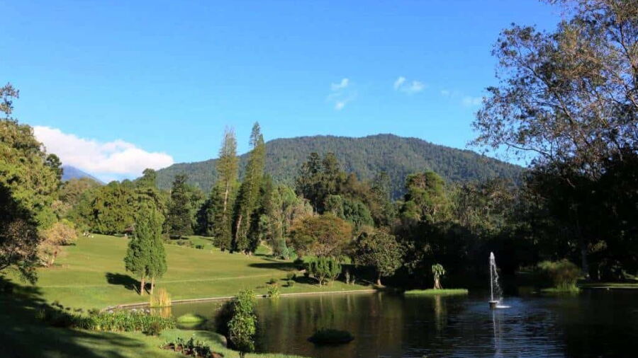 Cibodas Golf & Villa