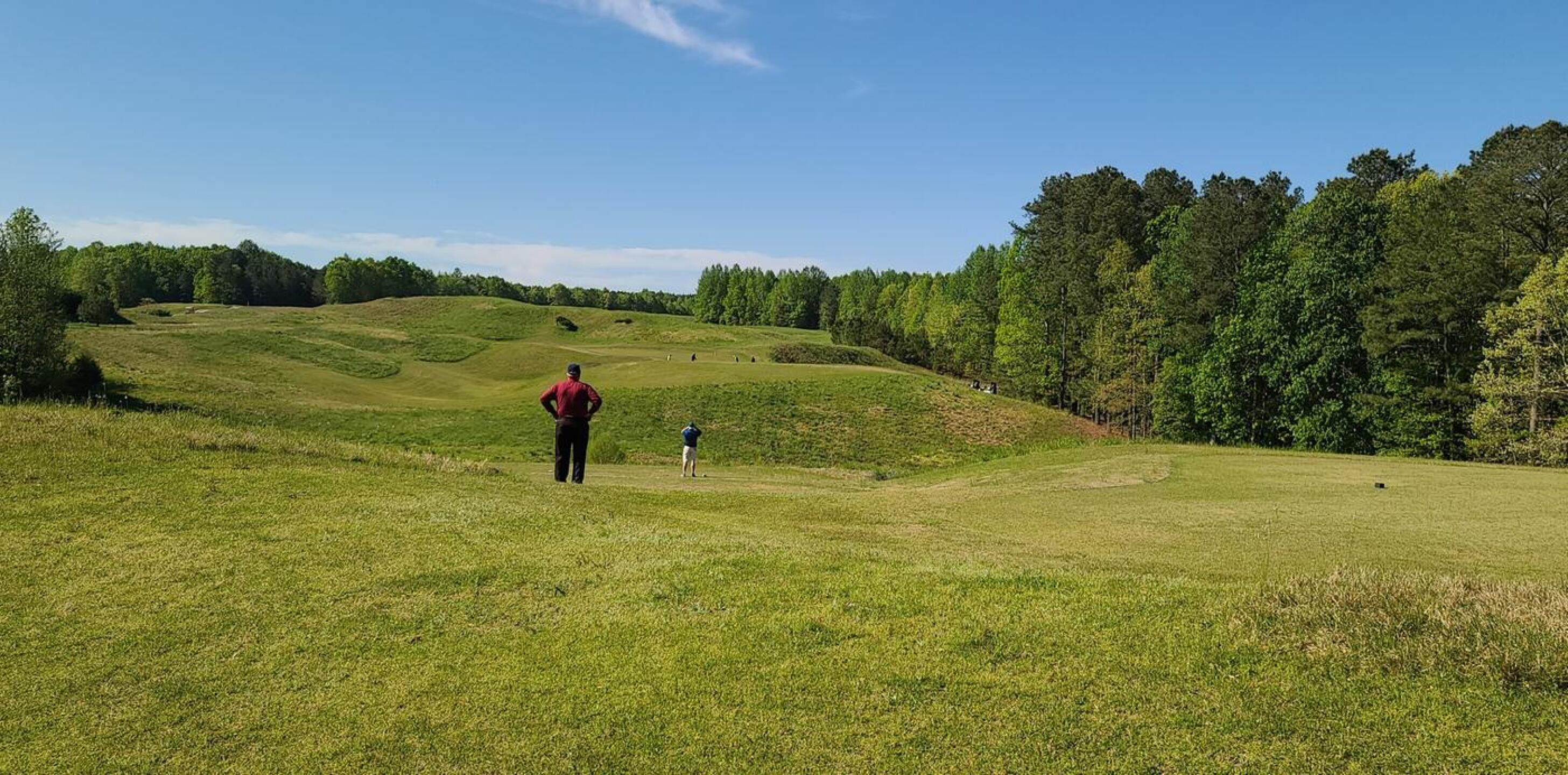 (Photo submitted by Maltenator on 05/02/2020)