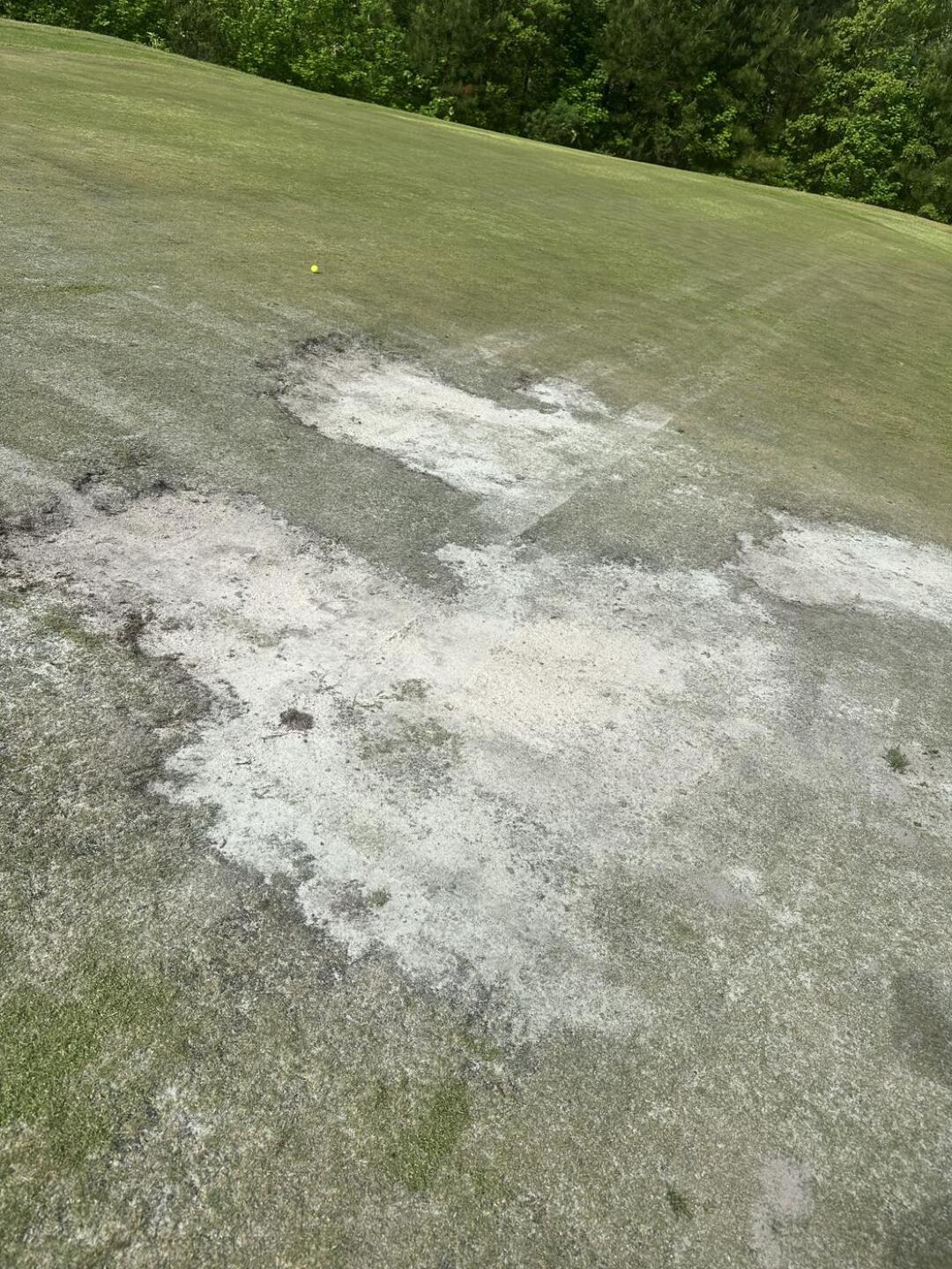 #9 green. Not the worst one. (Photo submitted by Steve8481786 on 04/26/2025)