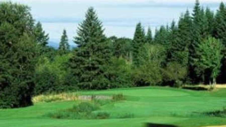 Pumpkin Ridge GC - Witch Hollow: #6