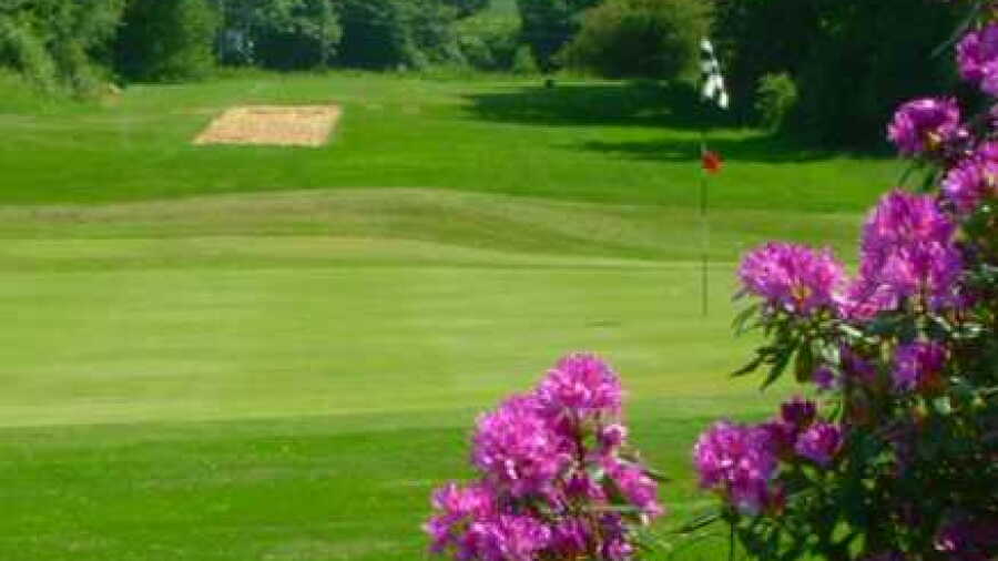 Dorking GC: #4