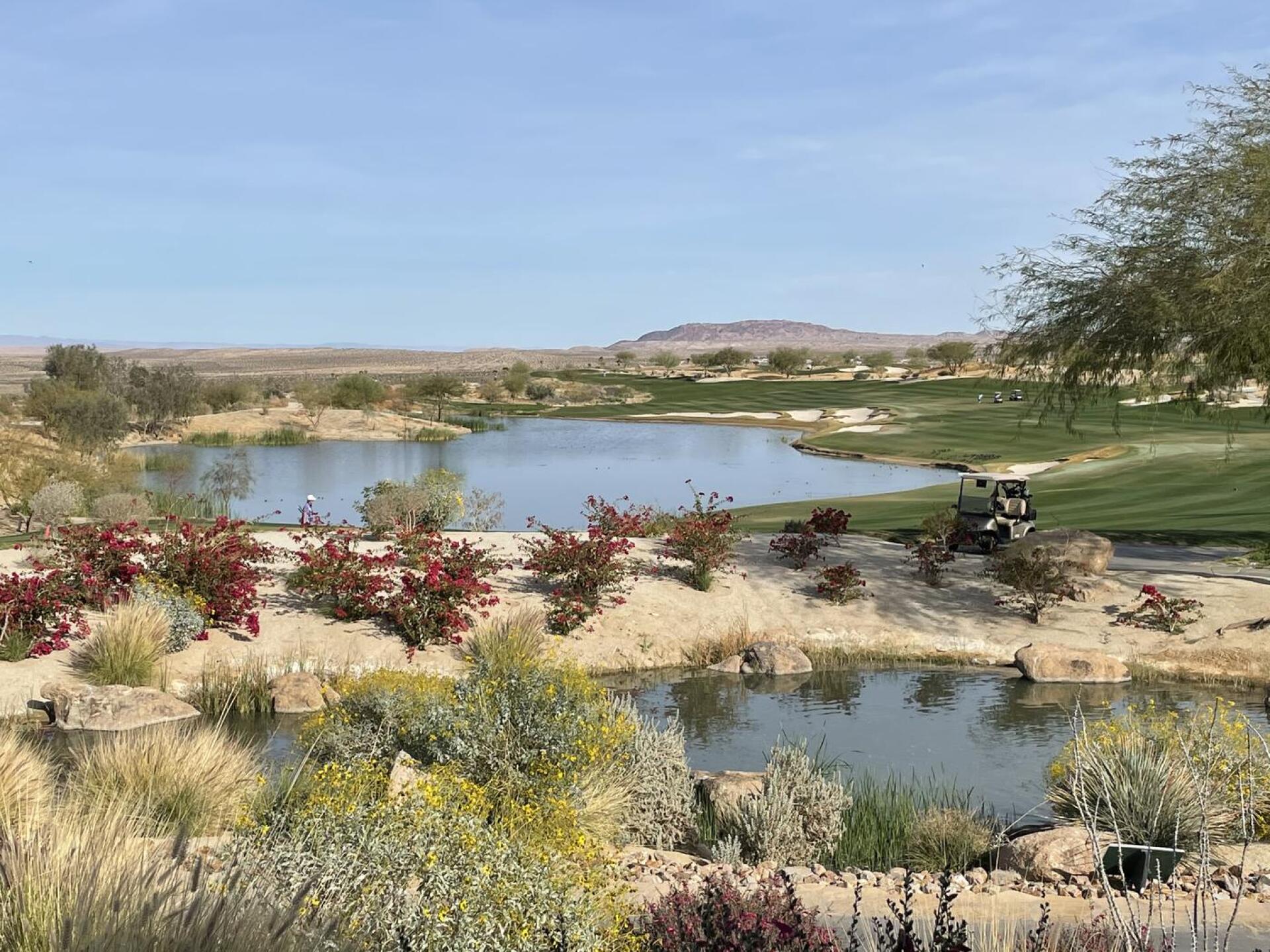 (Photo submitted by Cyd6812709 on 02/14/2021)