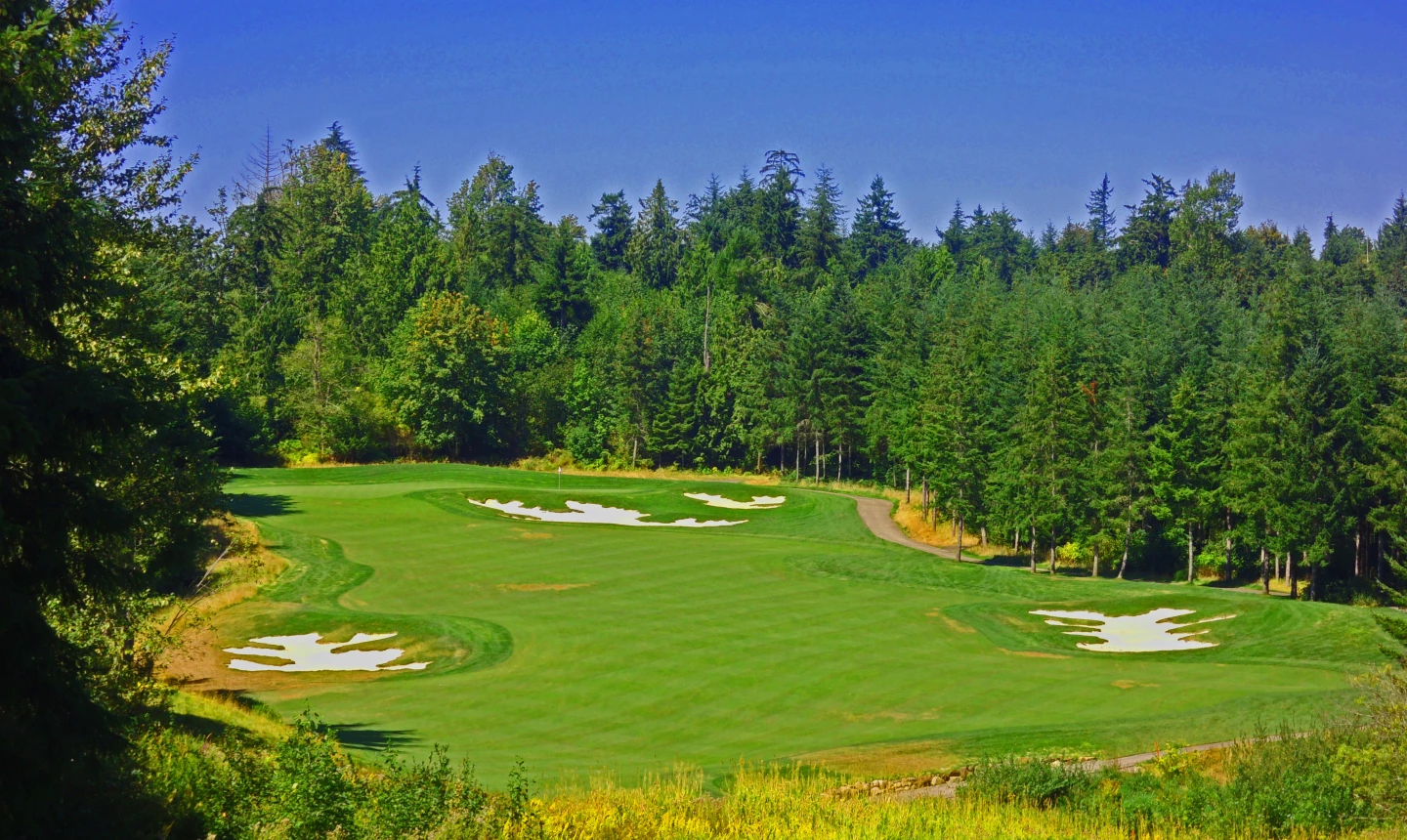 Salish Cliffs Golf Club - 15th