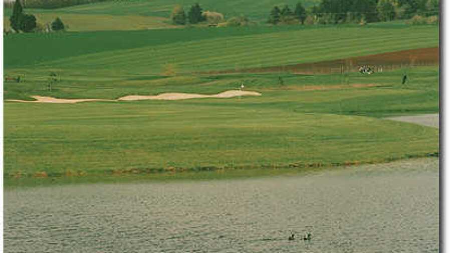 Quail Valley #2