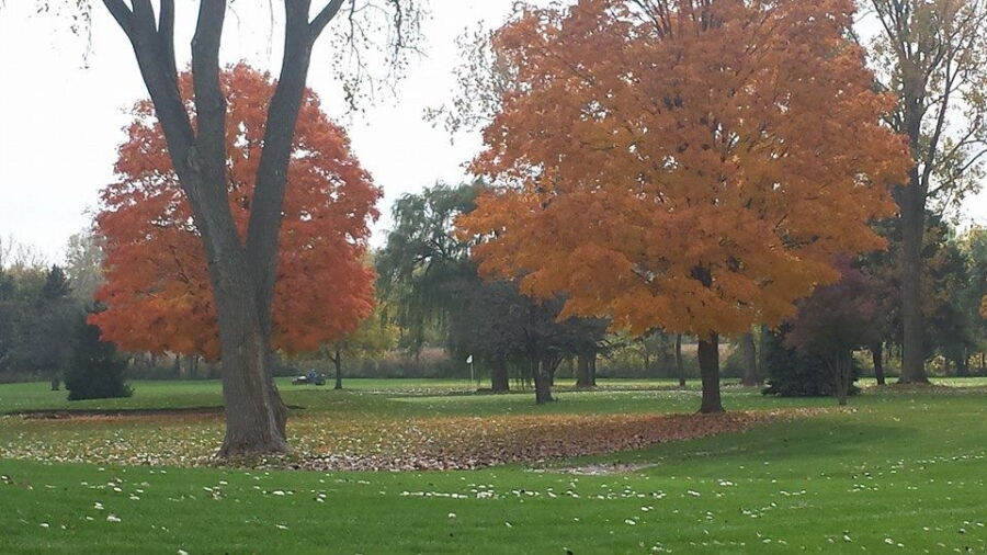 Pond-A-River GC