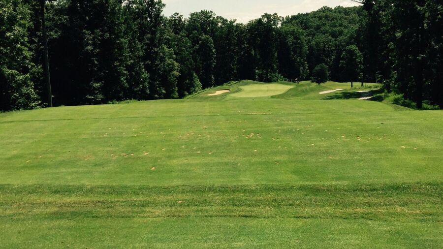 Forest Greens GC: #13