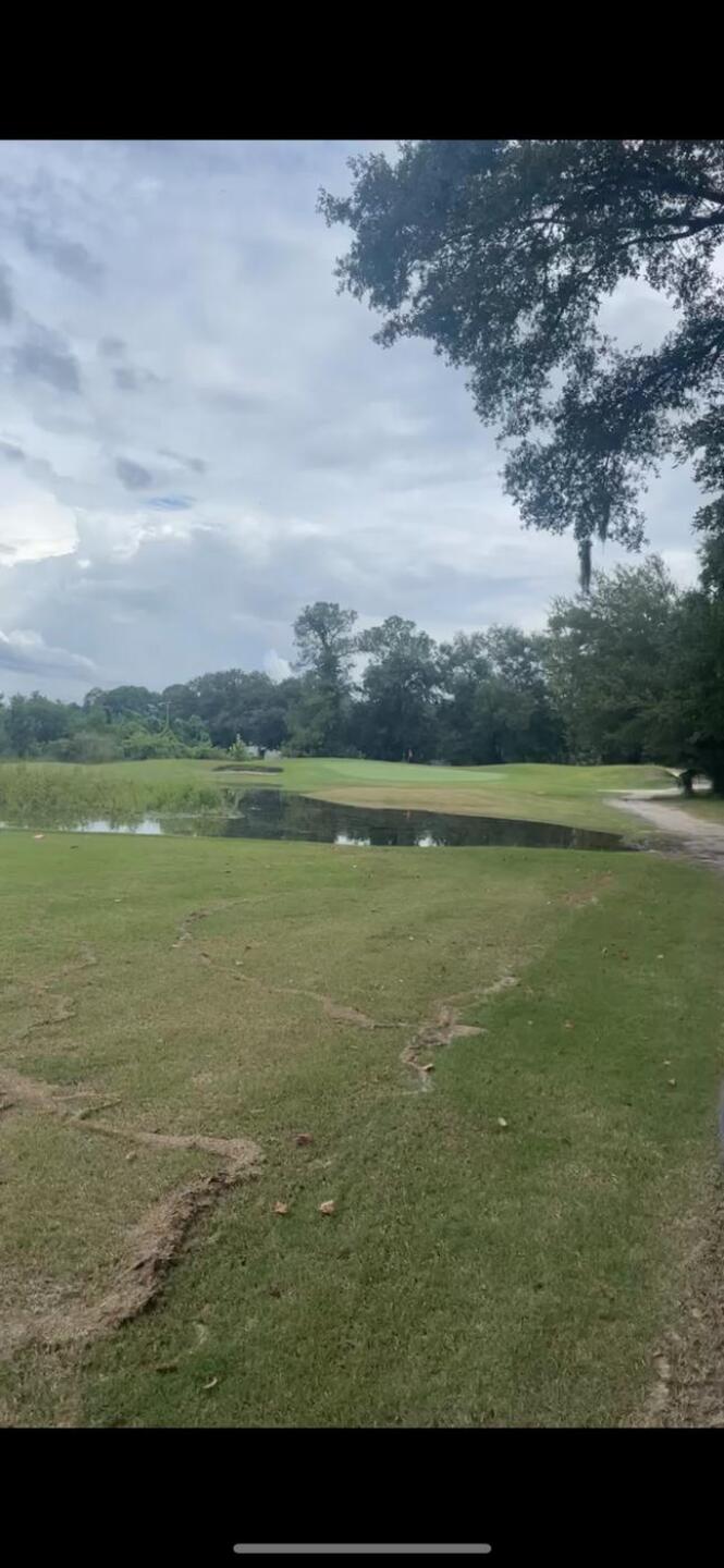 (Photo submitted by u378794711 on 09/07/2024)