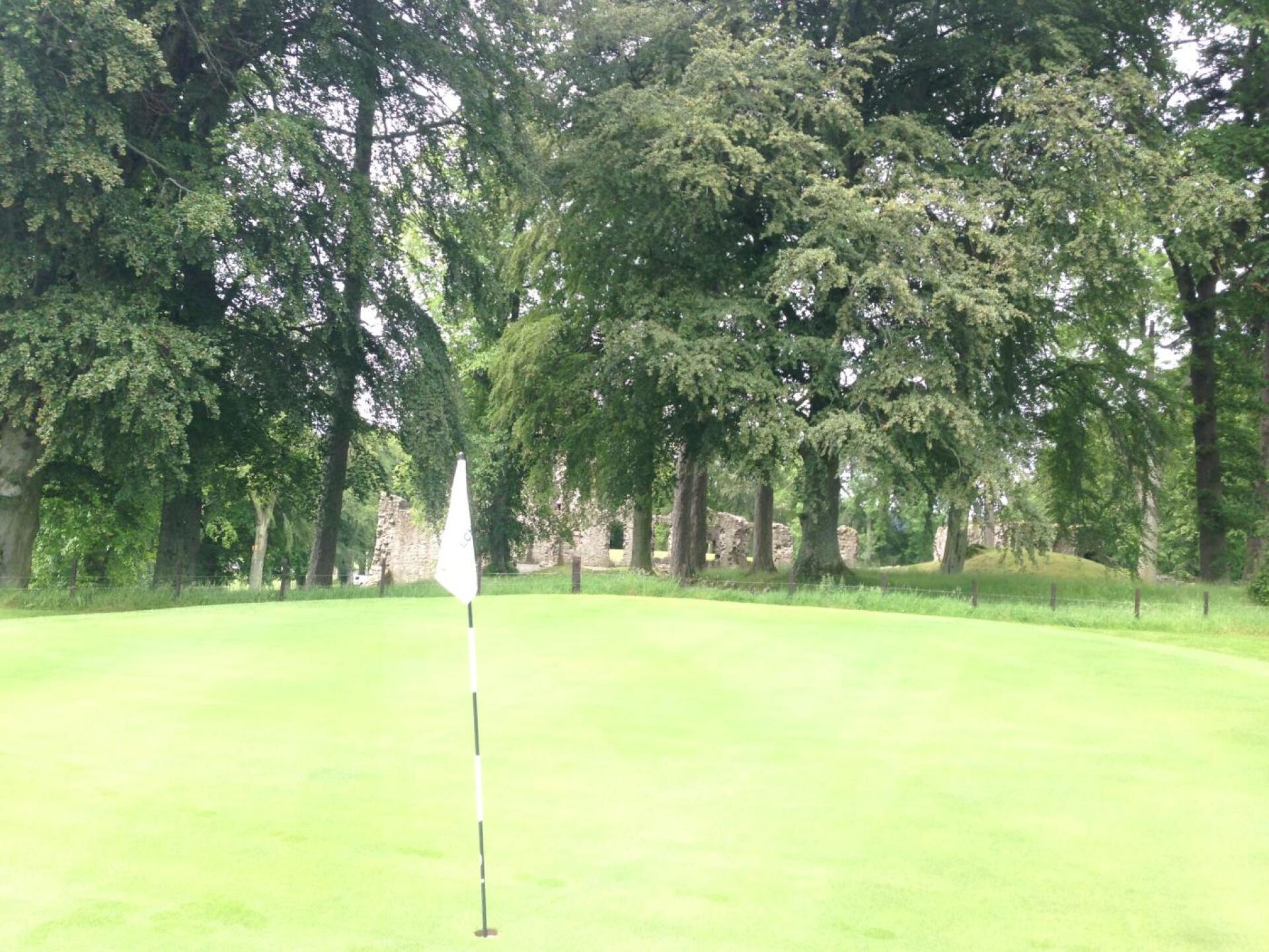 (Photo submitted by t1149544345 on 07/11/2019)