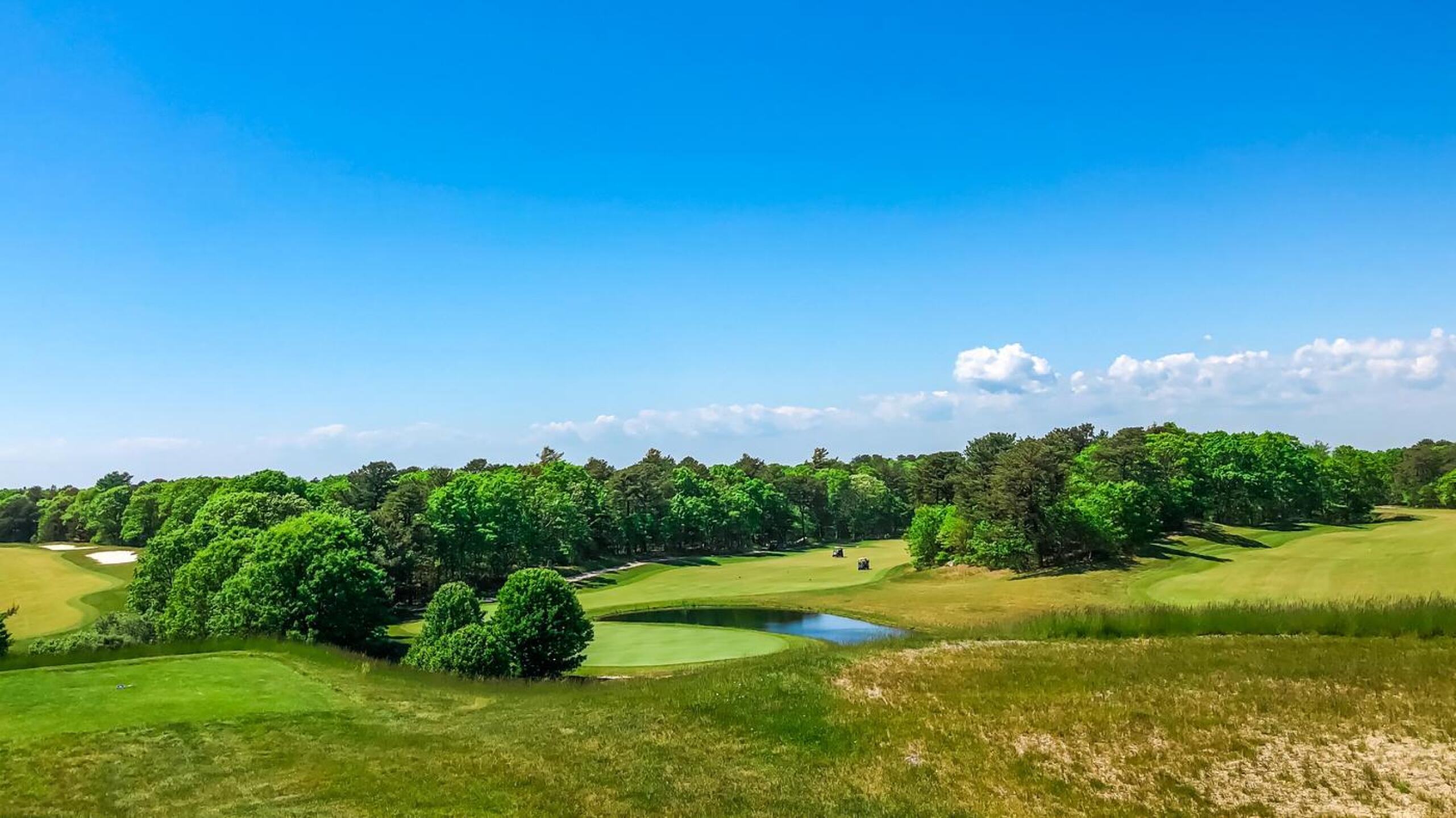 (Photo submitted by u6790462 on 06/04/2020)