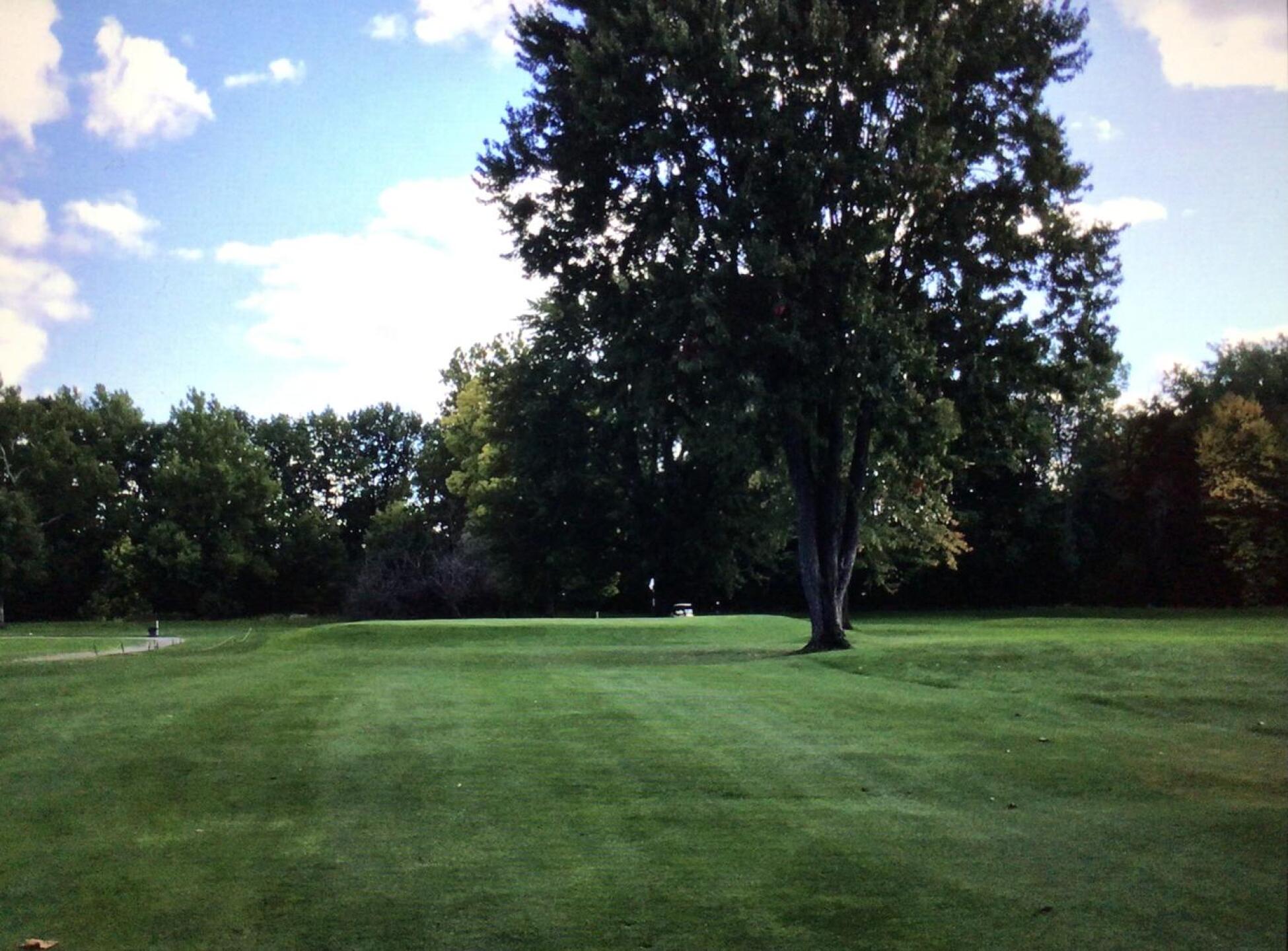 14th hole, long par 3 at 190.  Made even more difficult by raised green that falls off on all sides and tree that blocks the right half of the green. (Photo submitted by BuffaloBen15 on 10/26/2020)