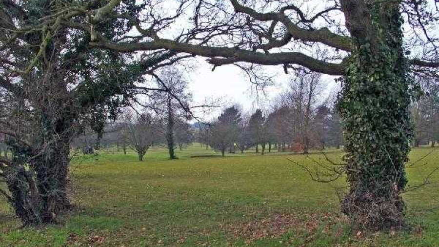 Bury St Edmunds GC