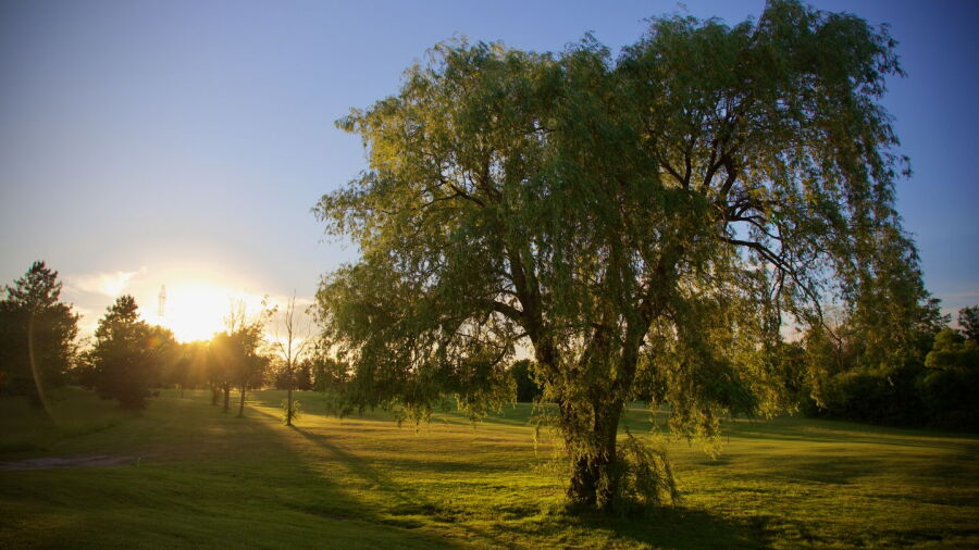 Beechwood Golf