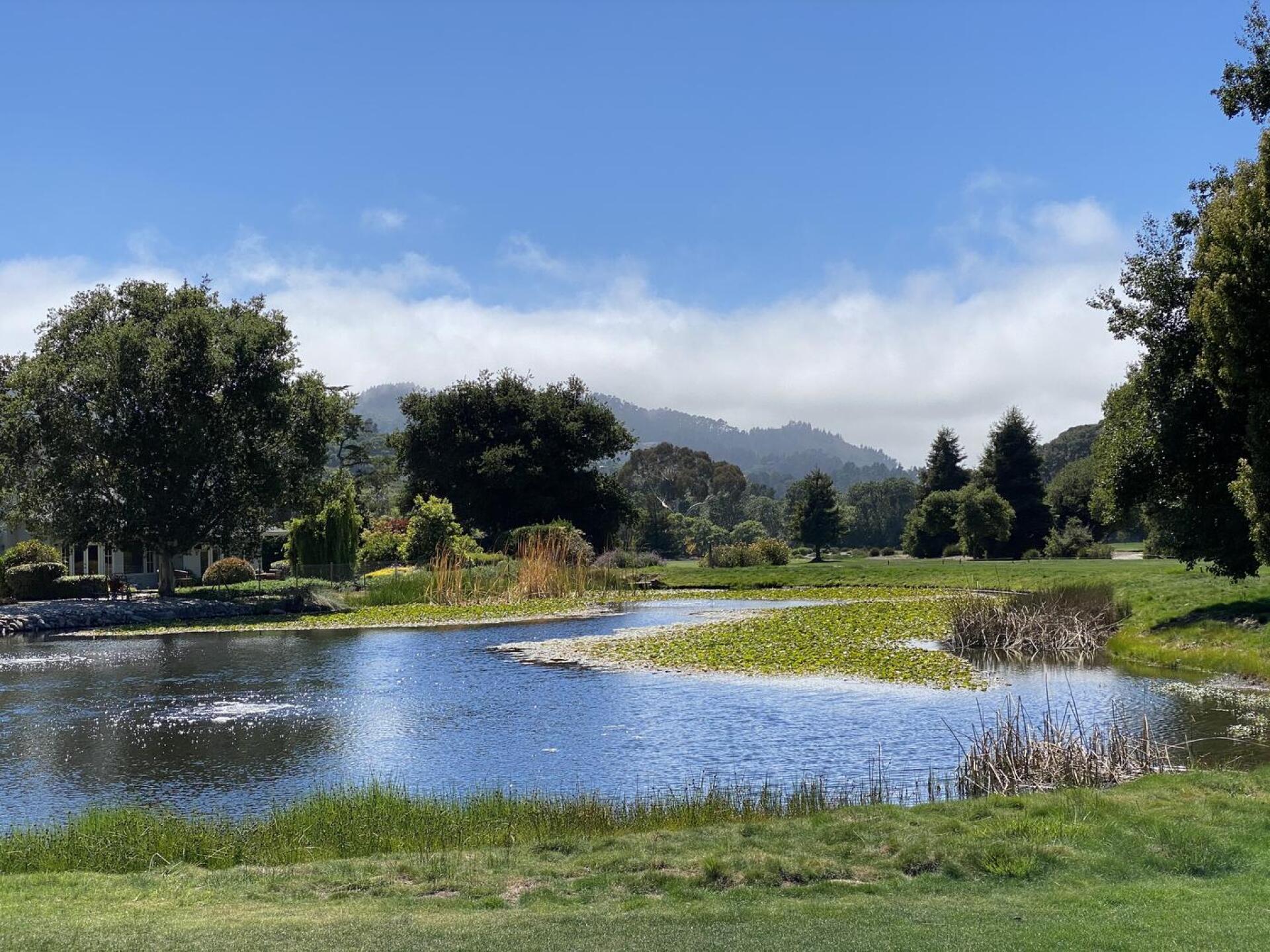 (Photo submitted by u000004943458 on 06/04/2021)