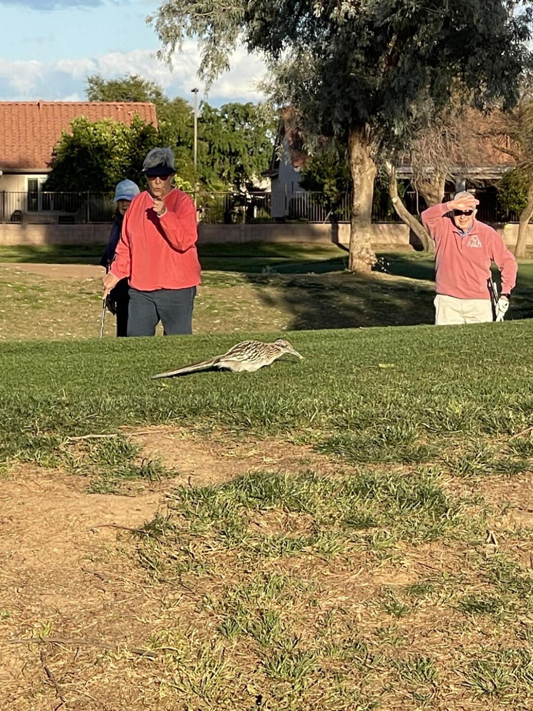 He chipped in, and none of us saw it !! (Photo submitted by u314162513771 on 03/24/2023)