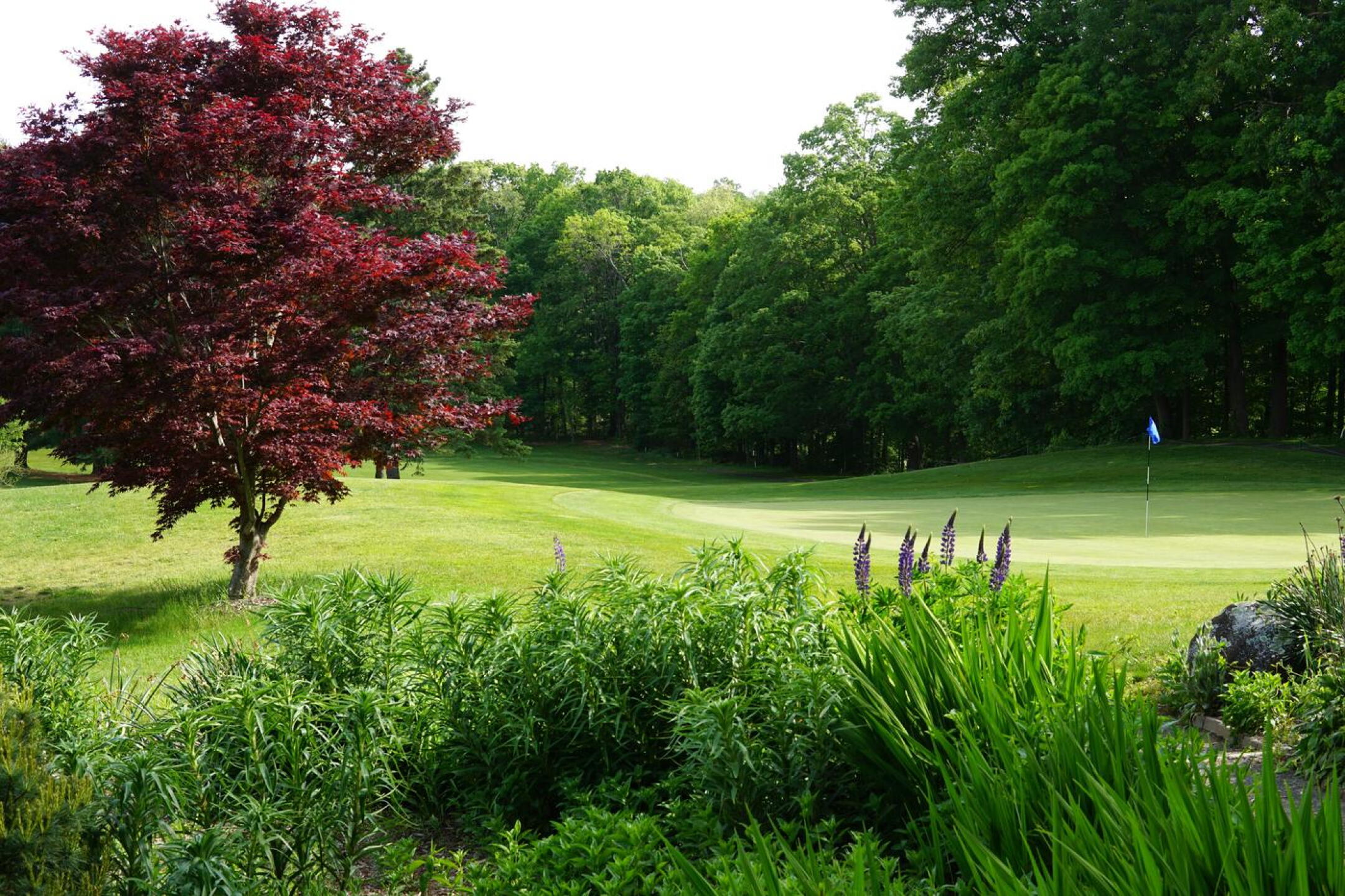 A garden graces the area behind green six. (Photo submitted by AptlyLinked on 05/20/2023)