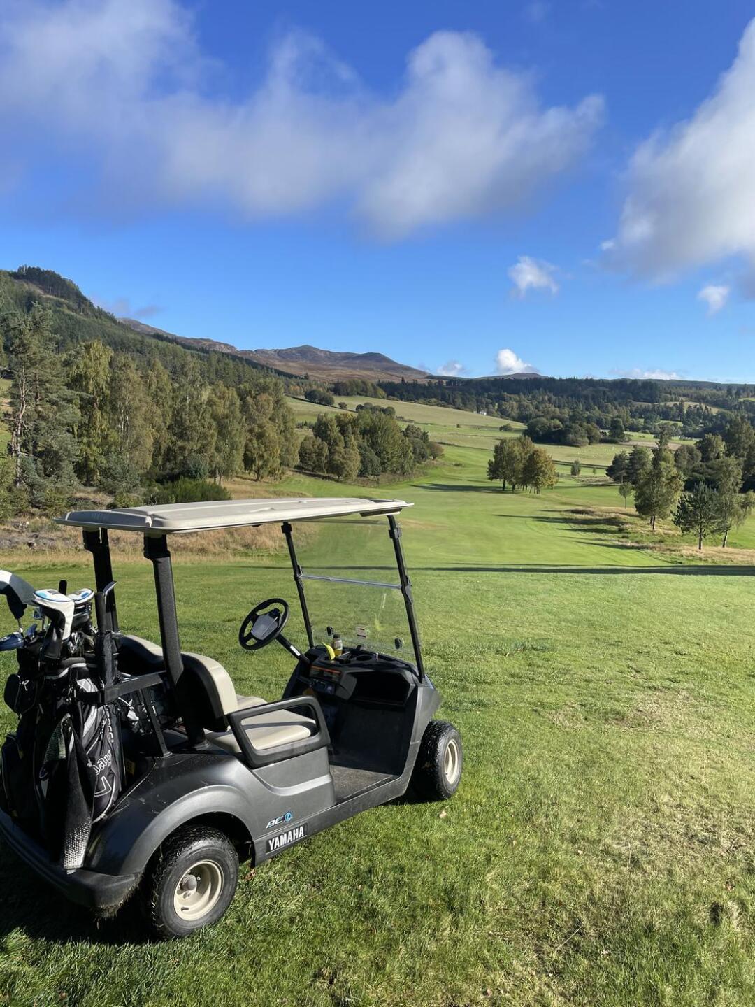 (Photo submitted by 0LeAthEm9uFWDeaWHCLn on 09/30/2025)