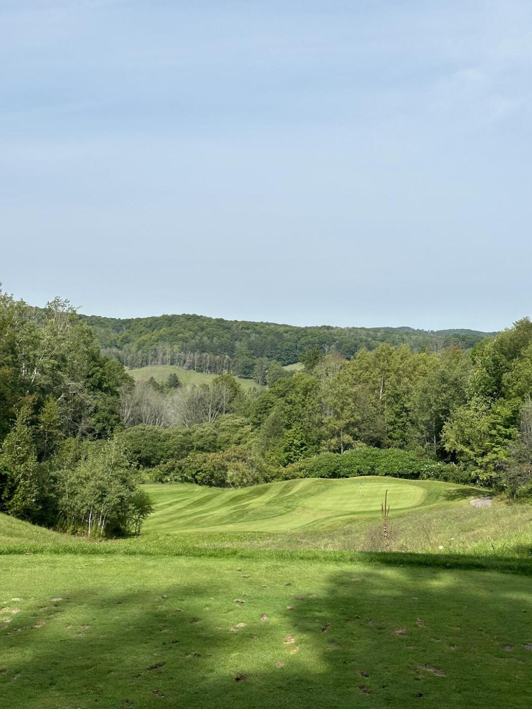 (Photo submitted by Noftle8892 on 09/03/2023)