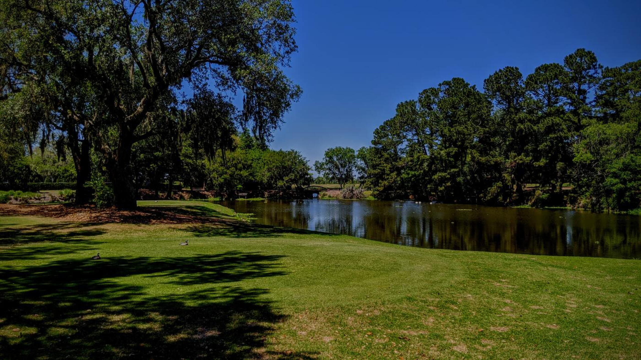 The garden-like feel at the tee on the par-4 12th. (Photo submitted by Back9Ben on 05/04/2020)