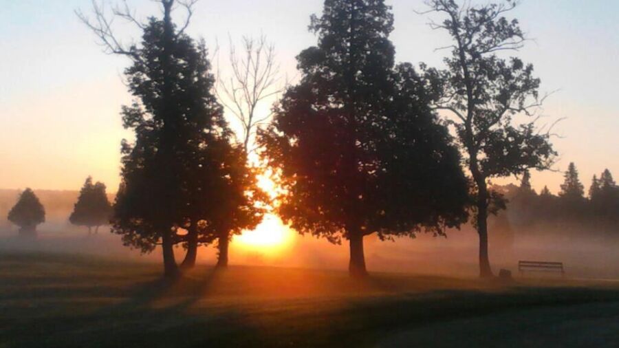 Virginia GC: #13