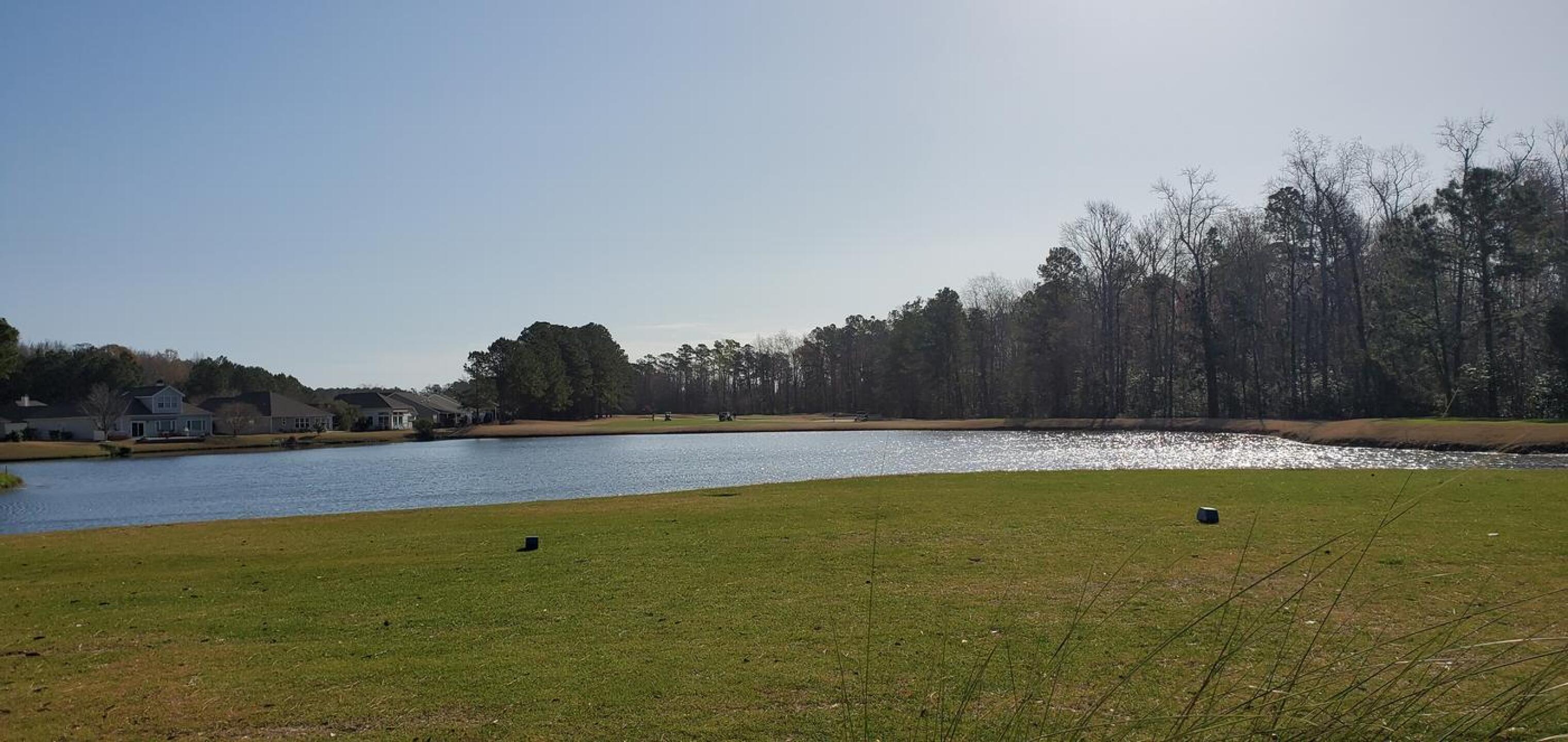 Just perfect (Photo submitted by busta42 on 03/22/2021)