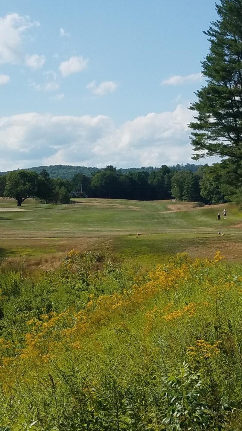 2nd Tee: view down fairway (Photo submitted by AptlyLinked on 08/21/2019)