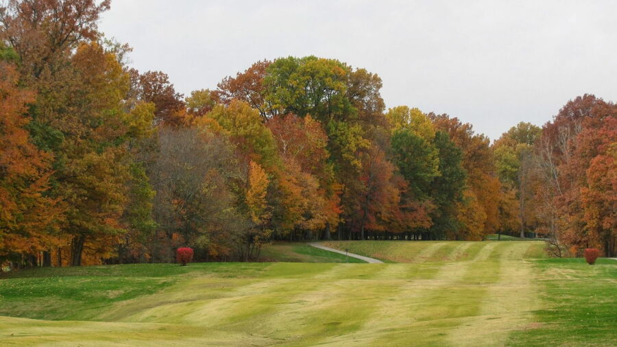 Wooded View GC