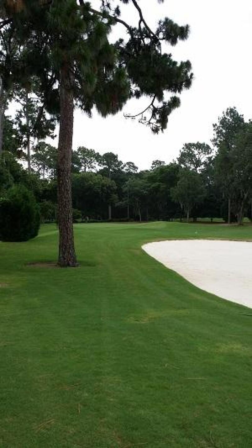 (Photo submitted by rsmy123 on 07/13/2014)