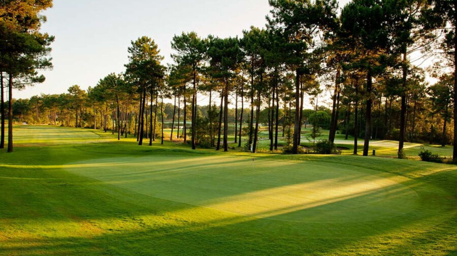 Aroeira GC