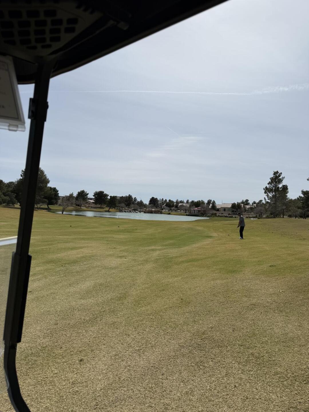 (Photo submitted by ortega29 on 03/16/2026)