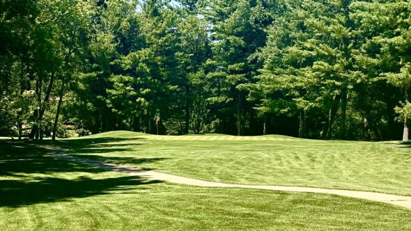 Swanhills GC: #8