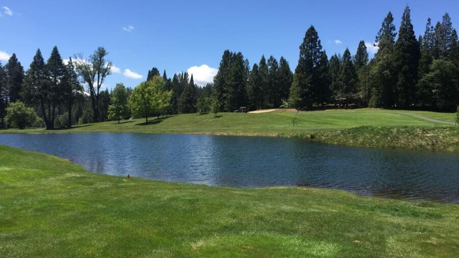 Sequoia Woods CC