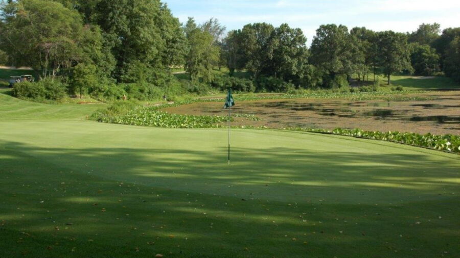 Thornapple Creek GC: #16