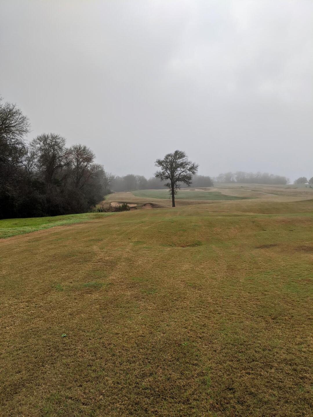 (Photo submitted by sorenj on 01/18/2020)