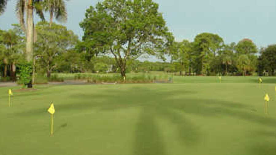 Royal Palm CC: practice green