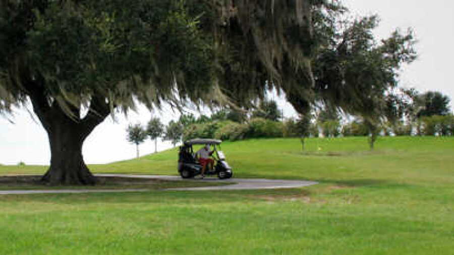 Bogart at The Villages Executive Golf Trail