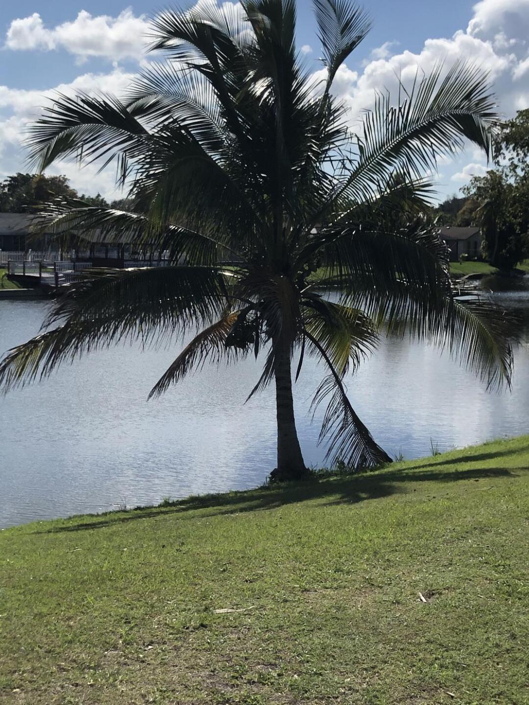 (Photo submitted by sgj6801 on 02/23/2021)