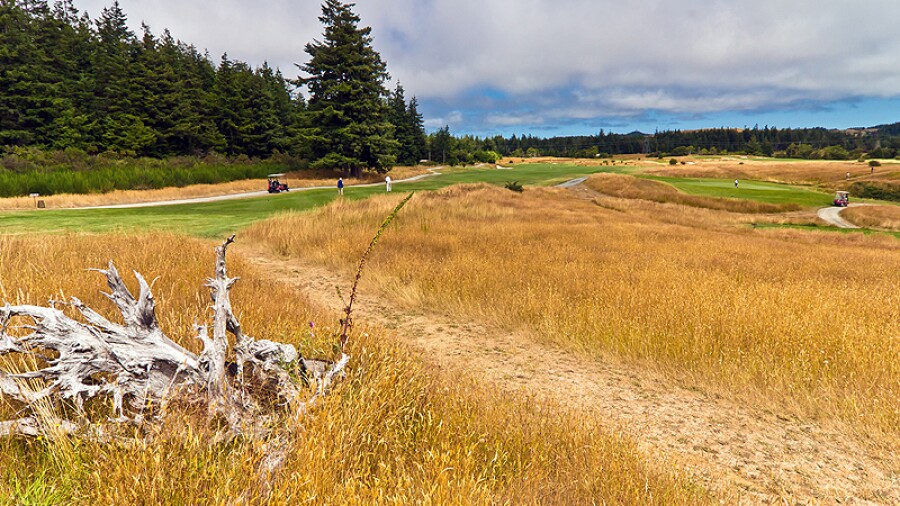 Bandon Crossings Golf Course - hole 2