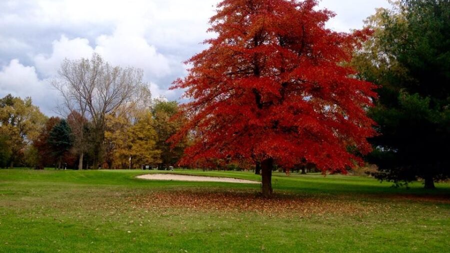 West Ottawa GC