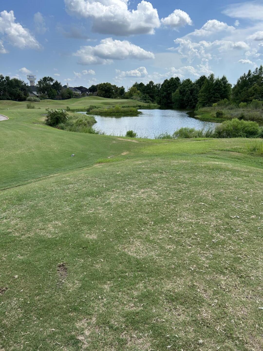 (Photo submitted by uYOuVyokUjcQ1u4GVHL6 on 11/07/2025)