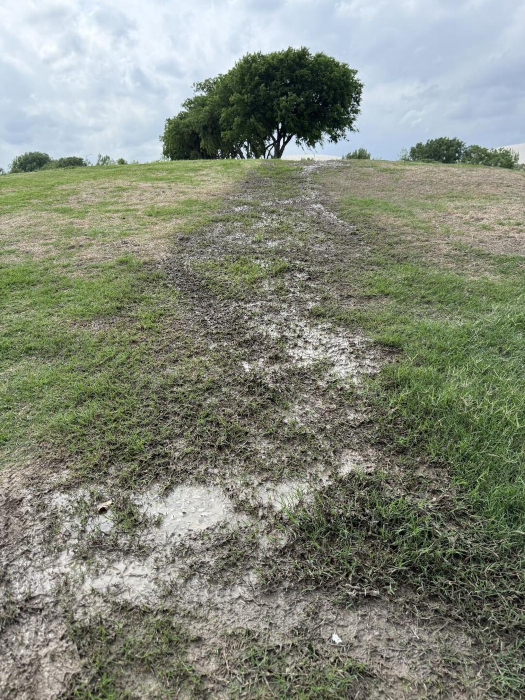 (Photo submitted by u314160415115 on 04/17/2026)