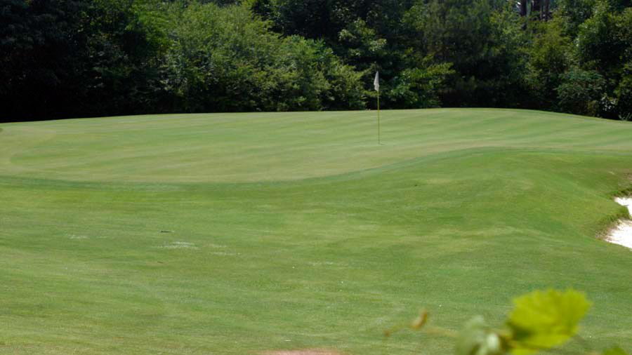 White at Mountain View GC