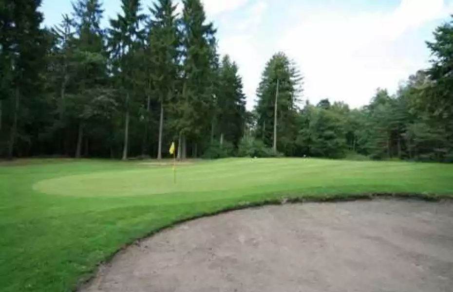 British Army GC Sennelager - Forest Pine: #7
